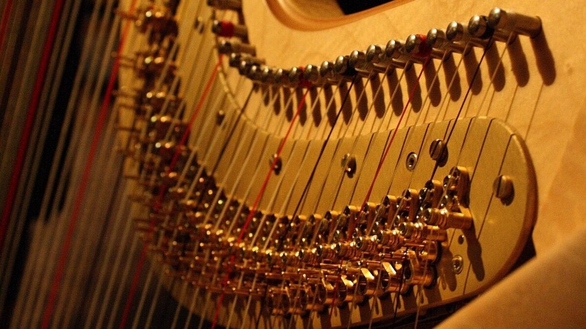 Irische Melodien: Zwei Konzerte als Dankeschön